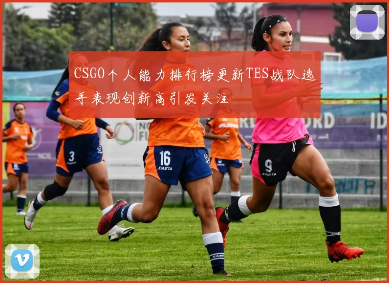 CSGO个人能力排行榜更新TES战队选手表现创新高引发关注
