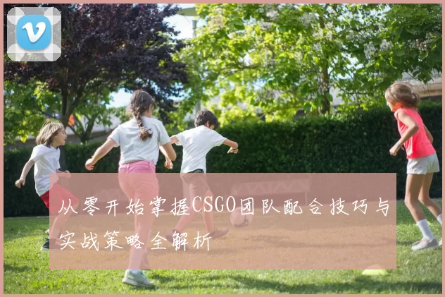 从零开始掌握CSGO团队配合技巧与实战策略全解析