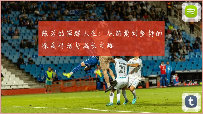 陈芳的篮球人生：从热爱到坚持的深度对话与成长之路