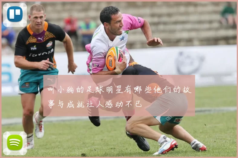 叫小狗的足球明星有哪些他们的故事与成就让人感动不已