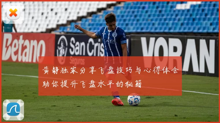 黄静独家分享飞盘技巧与心得体会助你提升飞盘水平的秘籍