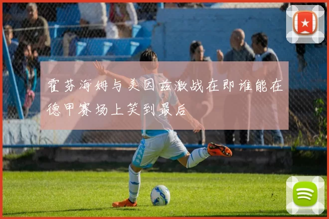 霍芬海姆与美因兹激战在即谁能在德甲赛场上笑到最后