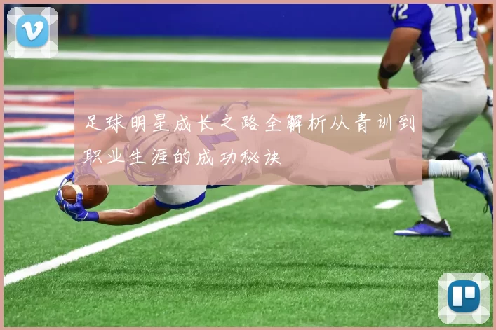 足球明星成长之路全解析从青训到职业生涯的成功秘诀