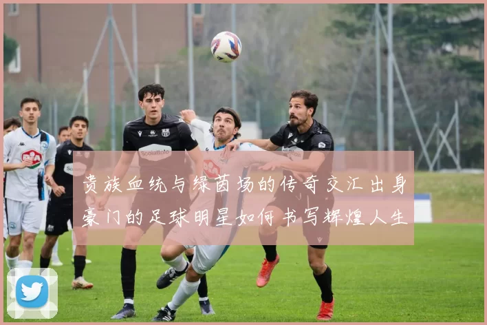 贵族血统与绿茵场的传奇交汇出身豪门的足球明星如何书写辉煌人生