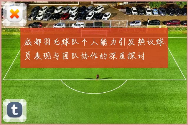 成都羽毛球队个人能力引发热议球员表现与团队协作的深度探讨