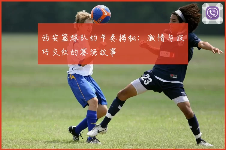 西安篮球队的节奏揭秘：激情与技巧交织的赛场故事