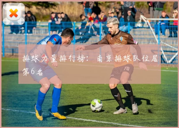 排球力量排行榜：南京排球队位居第6名