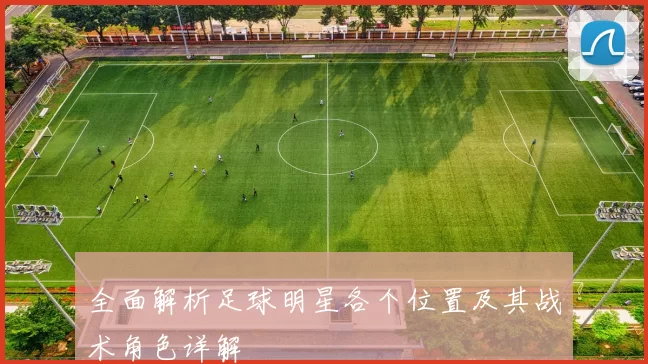全面解析足球明星各个位置及其战术角色详解