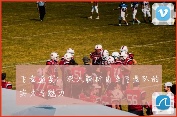 飞盘盛宴：深入解析南京飞盘队的实力与魅力
